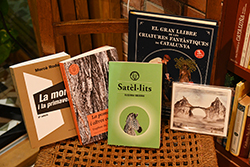 Llibresons amb Ós Bru 